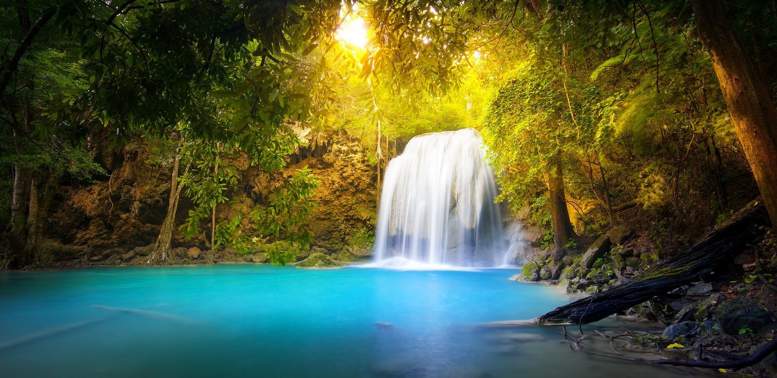 Exotic background of beautiful jungle forest with majestic water