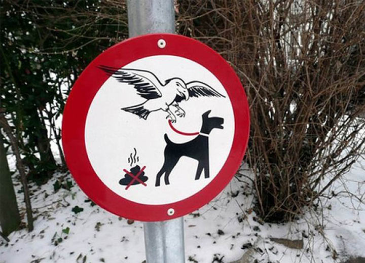 sign showing a bird with a dog on leash