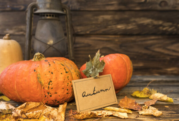 autumn-arrangement-with-pumpkins-rusty-lantern An autumn arrangement with leaves and pumpkins that would make the perfect inspiration for your fall signage. Image by FreePik.