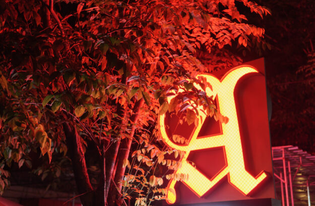 low-angle-view-illuminated-trees-night