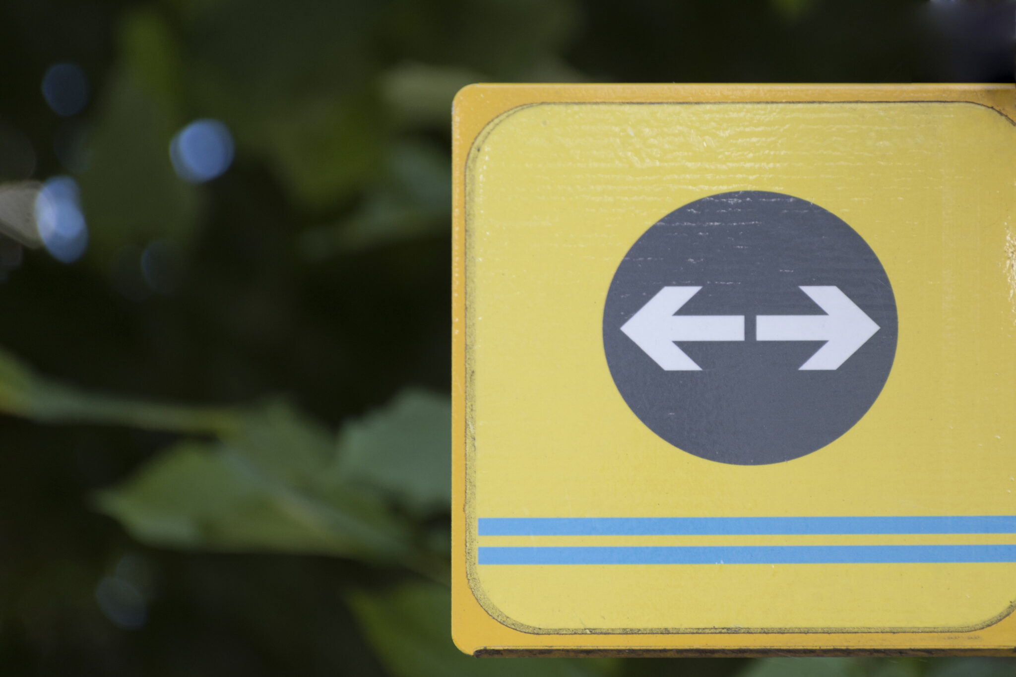 traffic-arrow-sign-with-blurred-leaves